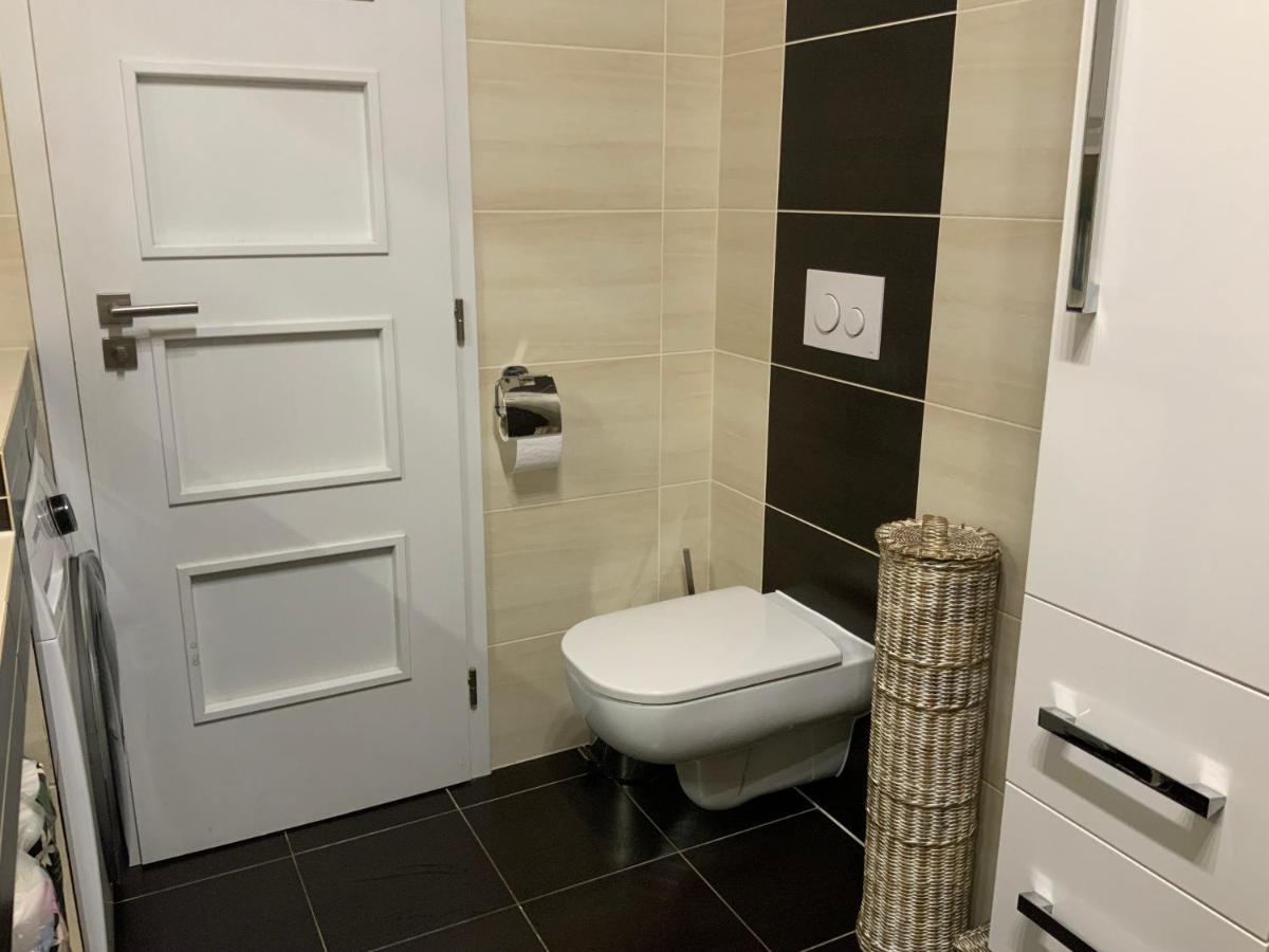 Apartman S Garazi A Balkonem Pilsen Exterior photo